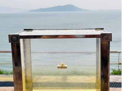 金