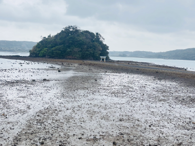 小島１