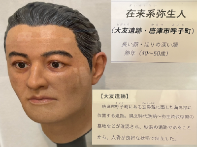 在来